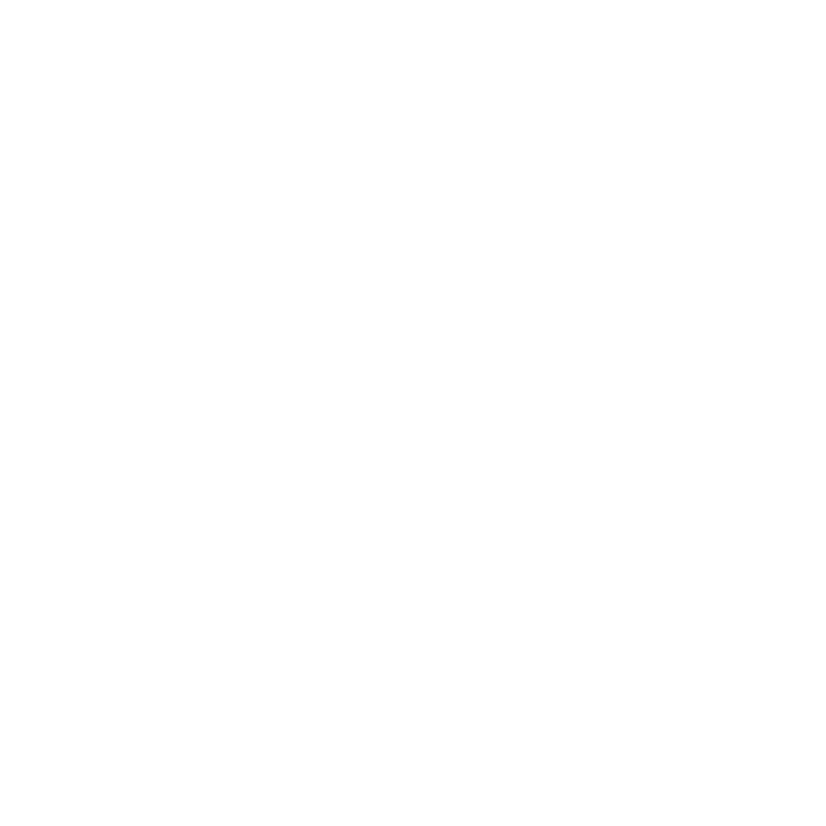 WonderBus Festival logo
